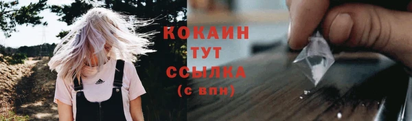 ГАЛЛЮЦИНОГЕННЫЕ ГРИБЫ Алзамай