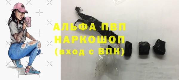 амф Алексин