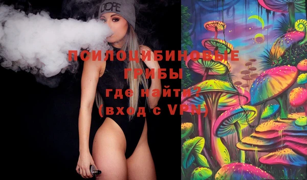 ГАЛЛЮЦИНОГЕННЫЕ ГРИБЫ Алзамай