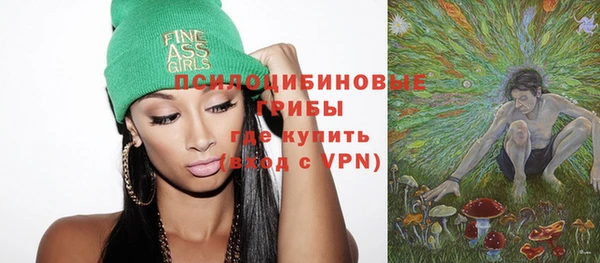 спиды Алексеевка