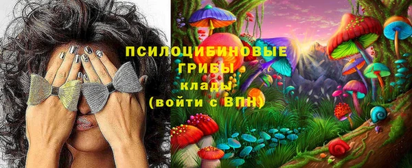 ГАЛЛЮЦИНОГЕННЫЕ ГРИБЫ Алзамай