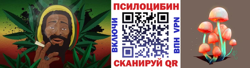 как найти закладки  Жигулёвск  Галлюциногенные грибы Psilocybine cubensis 